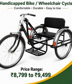 Handicapped Tricycle