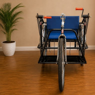 Handicapped Tricycle Deluxe Double Hand Drive