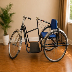 Handicapped Tricycle Deluxe Single Hand Drive