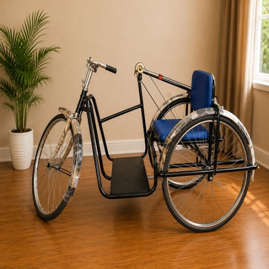 Handicapped Tricycle Deluxe Single Hand Drive