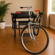 Handicapped Tricycle Standard Double Hand Drive