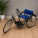 Handicapped Tricycle