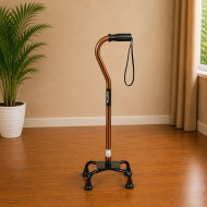 Quadripod Walking Stick