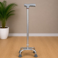 Quadripod Walking Stick