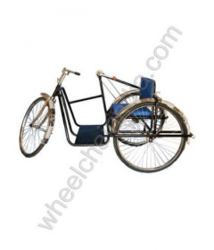 Handicapped Tricycle