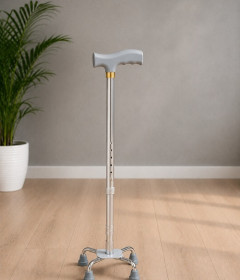 Walking Sticks