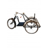Handicapped Child Tricycle
