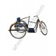 Handicapped Tricycle Deluxe Single Hand Drive
