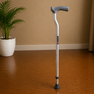 Vissco Avanti L Shape Walking Stick