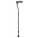 Walking Sticks